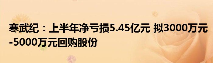 寒武纪:上半年净亏损5.45亿元 拟3000万元-5000万元回购股份