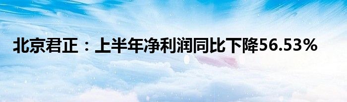 北京君正：上半年净利润同比下降56.53%