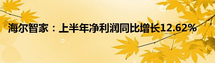 海尔智家：上半年净利润同比增长12.62%