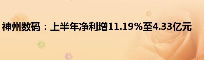 神州数码:上半年净利增11.19%至4.33亿元