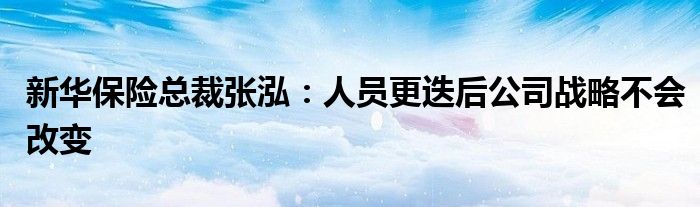 新华保险总裁张泓:人员更迭后公司战略不会改变