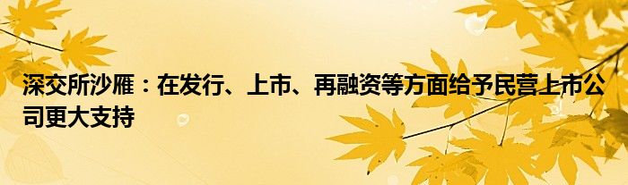 深交所沙雁:在发行、上市、再融资等方面给予民营上市公司更大支持