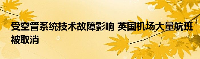 受空管系统技术故障影响 英国机场大量航班被取消