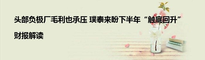 头部负极厂毛利也承压 璞泰来盼下半年“触底回升”|财报解读