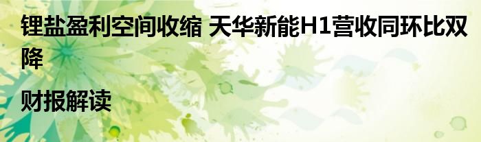 锂盐盈利空间收缩 天华新能H1营收同环比双降|财报解读