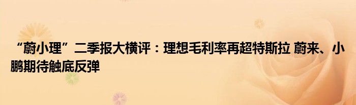 “蔚小理”二季报大横评:理想毛利率再超特斯拉 蔚来、小鹏期待触底反弹