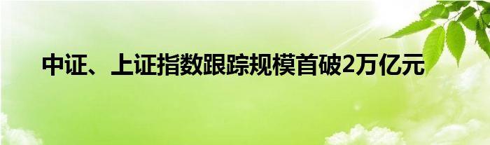 中证、上证指数跟踪规模首破2万亿元