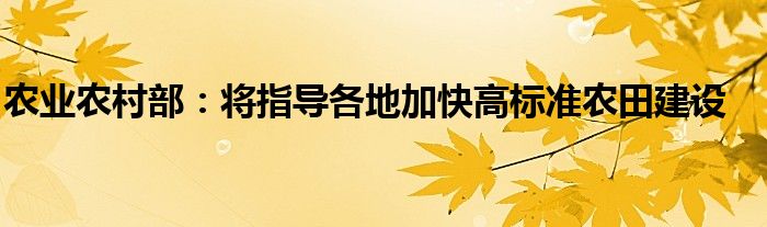 农业农村部:将指导各地加快高标准农田建设
