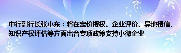 中行副行长张小东:将在定价授权、企业评价、异地授信、知识产权评估等方面出台专项政策支持小微企业