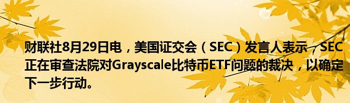 财联社8月29日电,美国证交会(SEC)发言人表示,SEC正在审查法院对Grayscale比特币ETF问题的裁决,以确定下一步行动。