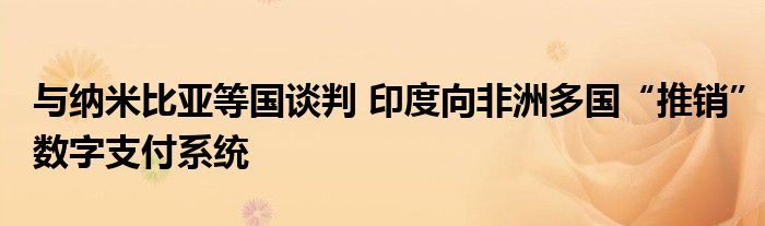 与纳米比亚等国谈判 印度向非洲多国“推销”数字支付系统