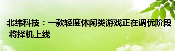 北纬科技:一款轻度休闲类游戏正在调优阶段 将择机上线