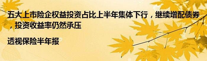 五大上市险企权益投资占比上半年集体下行,继续增配债券,投资收益率仍然承压|透视保险半年报