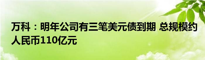 万科:明年公司有三笔美元债到期 总规模约人民币110亿元