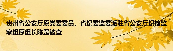 贵州省公安厅原党委委员、省纪委监委派驻省公安厅纪检监察组原组长陈罡被查