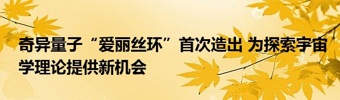 奇异量子“爱丽丝环”首次造出 为探索宇宙学理论提供新机会