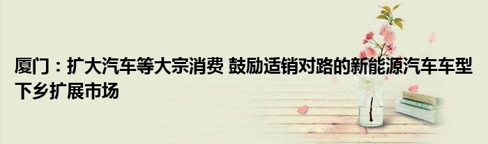 厦门:扩大汽车等大宗消费 鼓励适销对路的新能源汽车车型下乡扩展市场