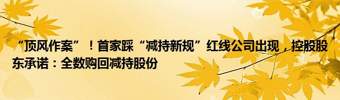 “顶风作案”!首家踩“减持新规”红线公司出现,控股股东承诺:全数购回减持股份