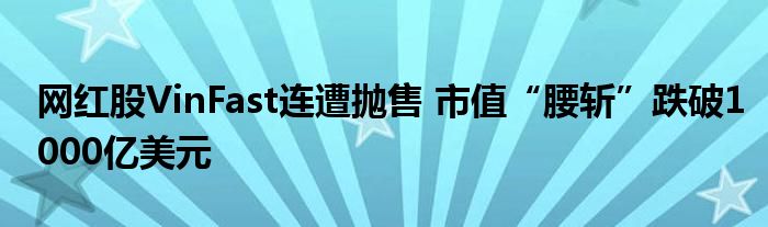网红股VinFast连遭抛售 市值“腰斩”跌破1000亿美元