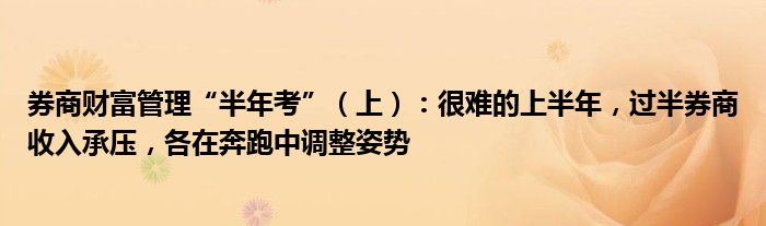 券商财富管理“半年考”(上):很难的上半年,过半券商收入承压,各在奔跑中调整姿势