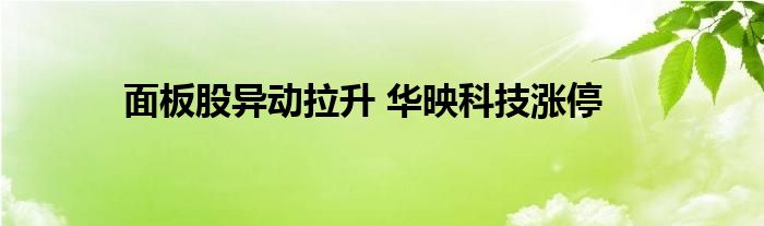 面板股异动拉升 华映科技涨停