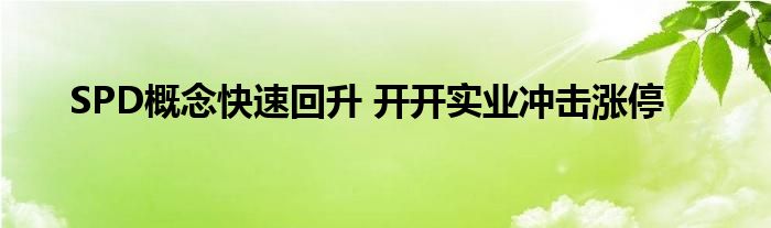 SPD概念快速回升 开开实业冲击涨停