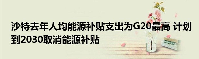 沙特去年人均能源补贴支出为G20最高 计划到2030取消能源补贴