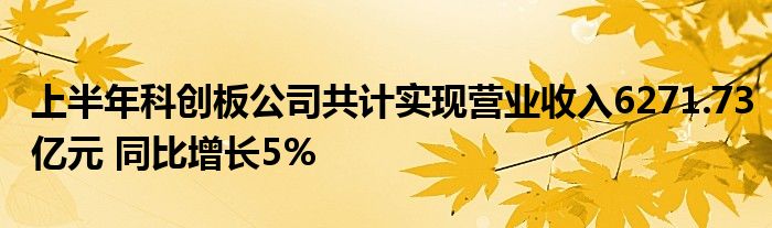 上半年科创板公司共计实现营业收入6271.73亿元 同比增长5%