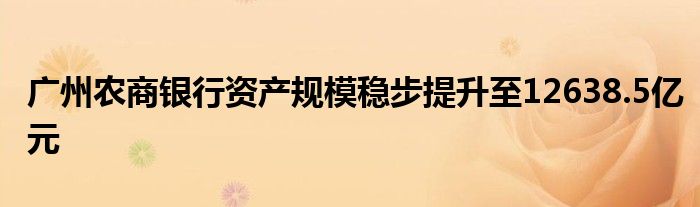 广州农商银行资产规模稳步提升至12638.5亿元