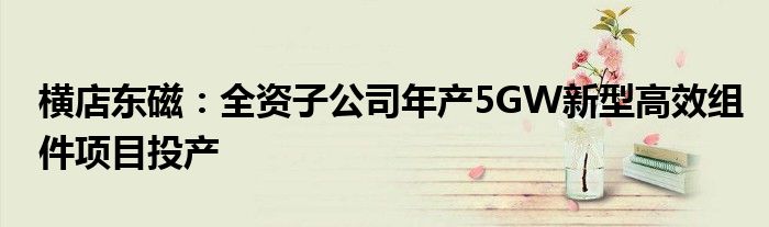 横店东磁：全资子公司年产5GW新型高效组件项目投产
