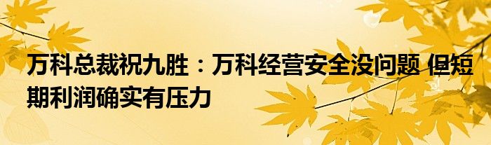 万科总裁祝九胜:万科经营安全没问题 但短期利润确实有压力