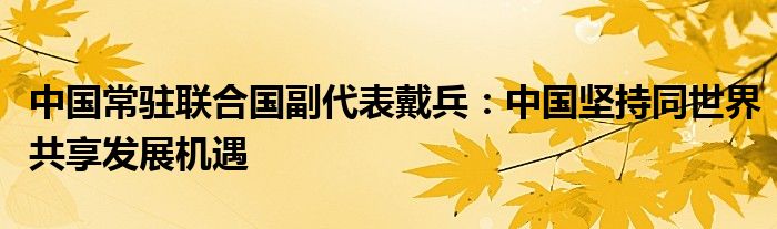 中国常驻联合国副代表戴兵:中国坚持同世界共享发展机遇
