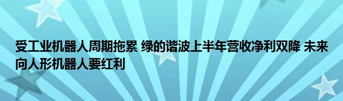 受工业机器人周期拖累 绿的谐波上半年营收净利双降 未来向人形机器人要红利