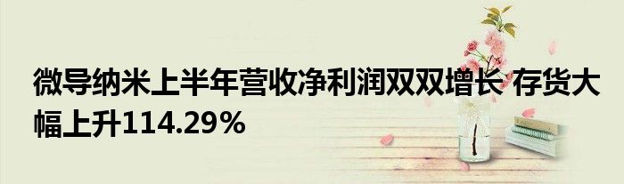 微导纳米上半年营收净利润双双增长 存货大幅上升114.29%