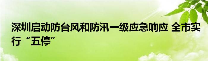 深圳启动防台风和防汛一级应急响应 全市实行“五停”