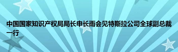中国国家知识产权局局长申长雨会见特斯拉公司全球副总裁一行