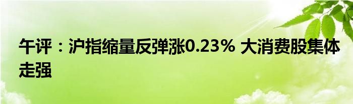 午评:沪指缩量反弹涨0.23% 大消费股集体走强
