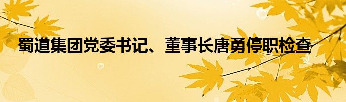 蜀道集团党委书记、董事长唐勇停职检查
