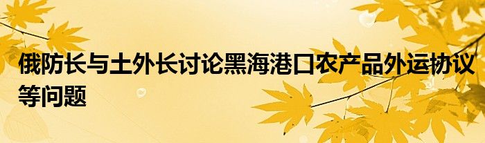 俄防长与土外长讨论黑海港口农产品外运协议等问题