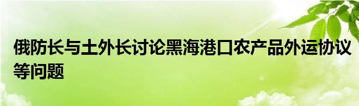 俄防长与土外长讨论黑海港口农产品外运协议等问题
