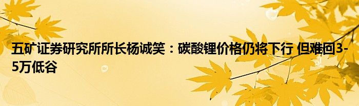 五矿证券研究所所长杨诚笑:碳酸锂价格仍将下行 但难回3-5万低谷