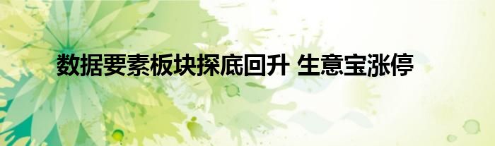 数据要素板块探底回升 生意宝涨停
