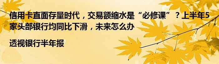 信用卡直面存量时代,交易额缩水是“必修课”?上半年5家头部银行均同比下滑,未来怎么办|透视银行半年报