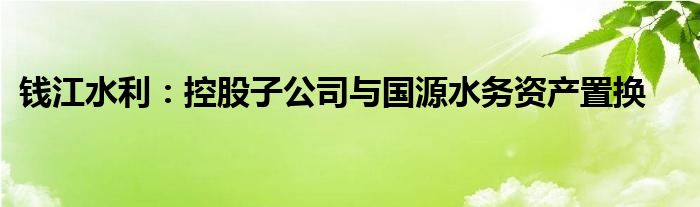 钱江水利:控股子公司与国源水务资产置换