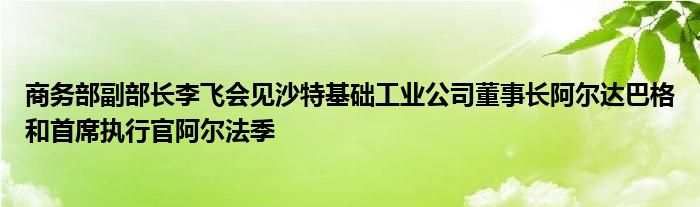 商务部副部长李飞会见沙特基础工业公司董事长阿尔达巴格和首席执行官阿尔法季