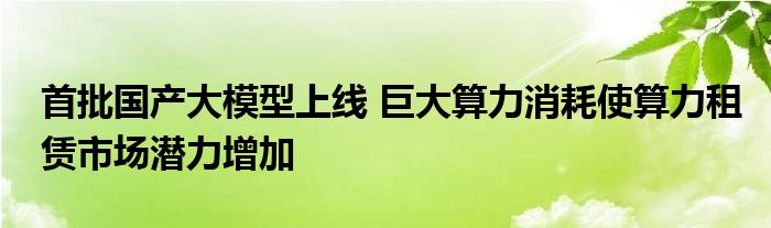 首批国产大模型上线 巨大算力消耗使算力租赁市场潜力增加