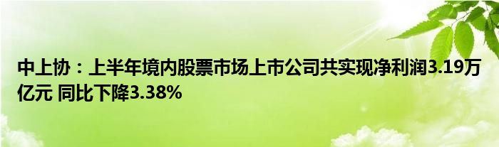 中上协:上半年境内股票市场上市公司共实现净利润3.19万亿元 同比下降3.38%