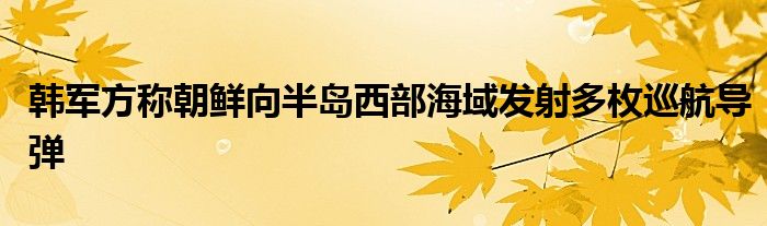 韩军方称朝鲜向半岛西部海域发射多枚巡航导弹