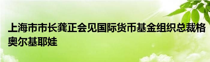 上海市市长龚正会见国际货币基金组织总裁格奥尔基耶娃