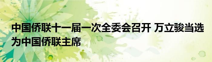 中国侨联十一届一次全委会召开 万立骏当选为中国侨联主席